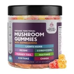 Mushroom gummies product image