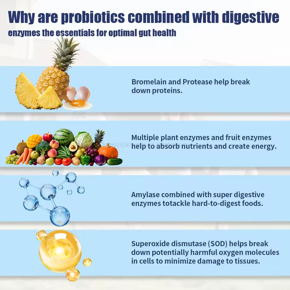 Probiotic Drink Powder with Prebiotics & Enzymes formula and packaging details